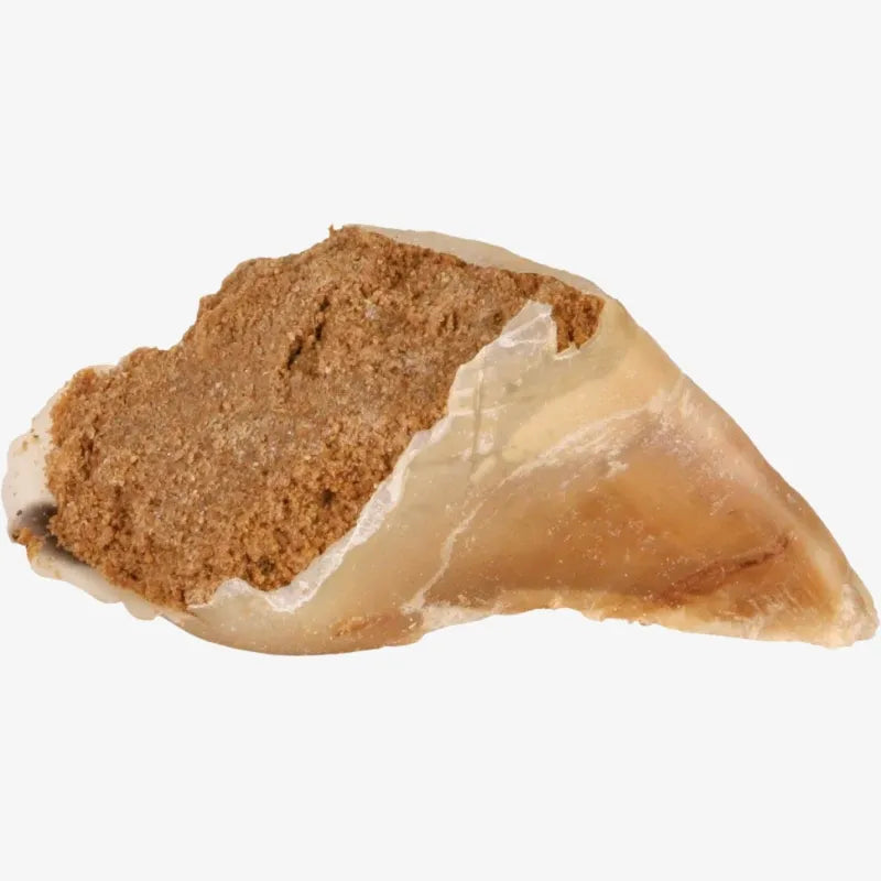 Lot de 10 Sabots Fourrés à Mâcher pour Chiens