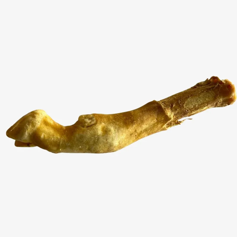 Lot de 10 Pattes d'Agneau Séchées pour Chiens