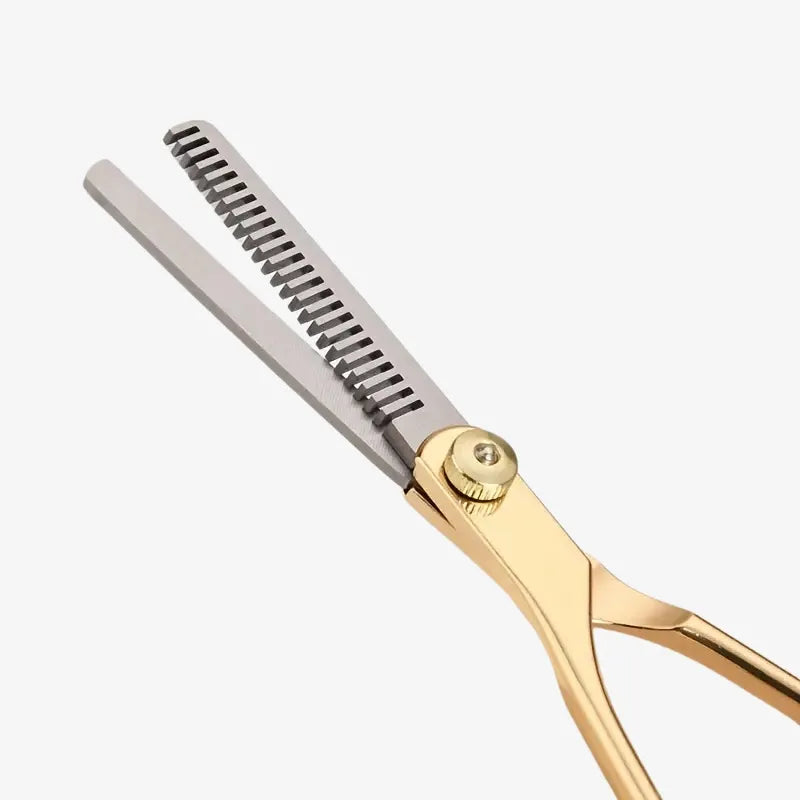 Kit de Toilettage Professionnel pour Animaux