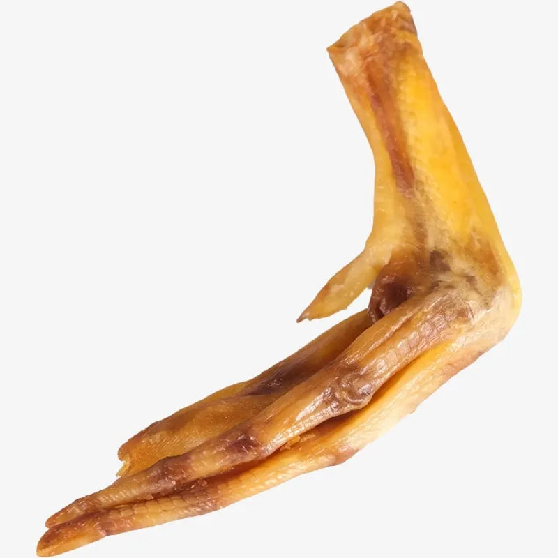 Lot de 10 Pattes de Canard Séchées pour Chiens