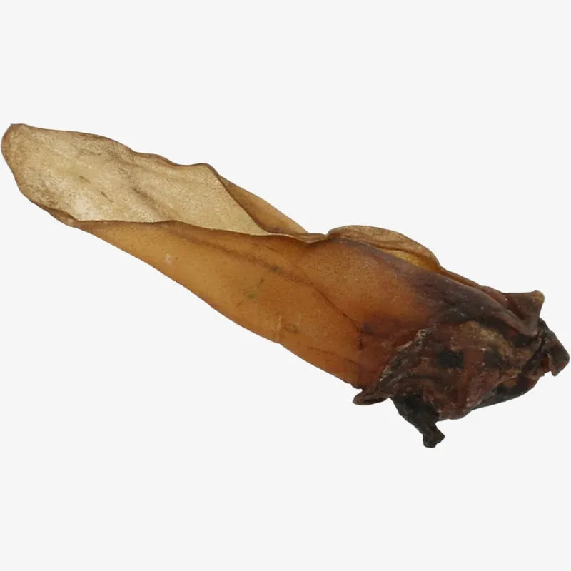 Lot de 10 Oreilles de Bœuf Séchées pour Chiens