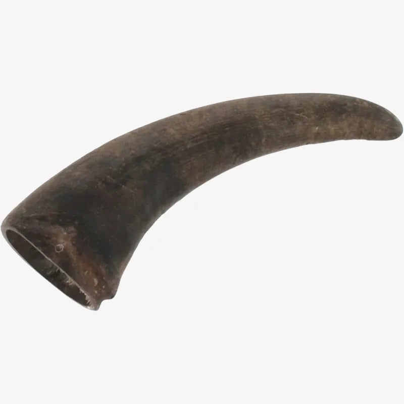 Lot de 10 Cornes de Buffle Naturelles pour Chiens