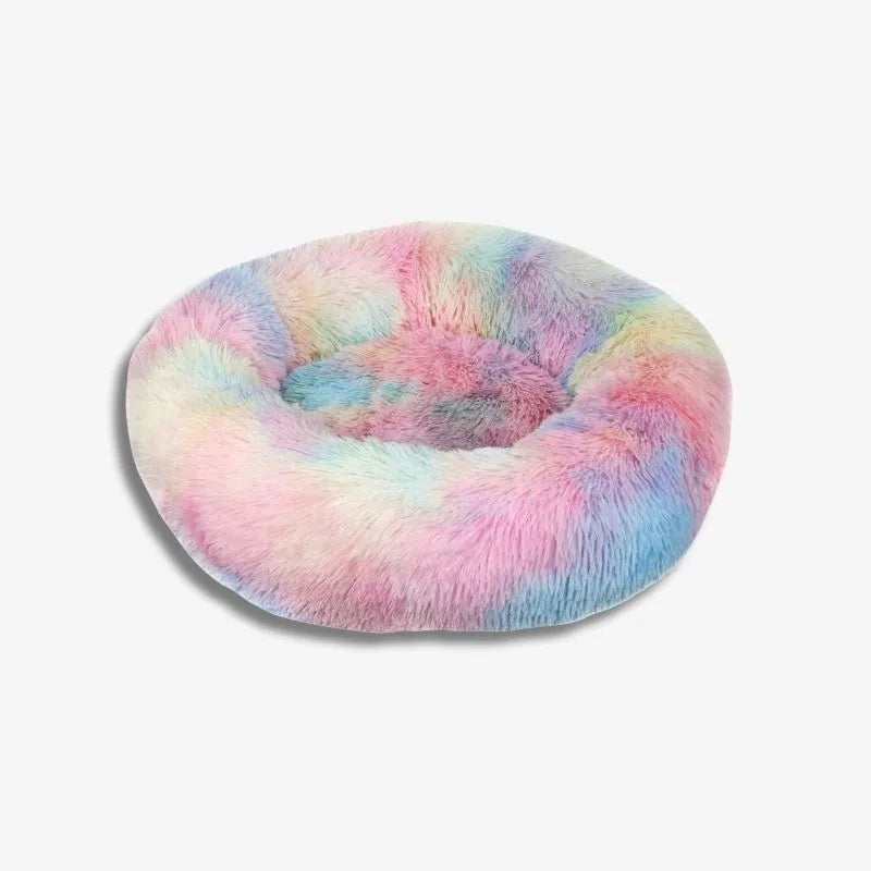 Cocon Arc-en-Ciel de Rêve