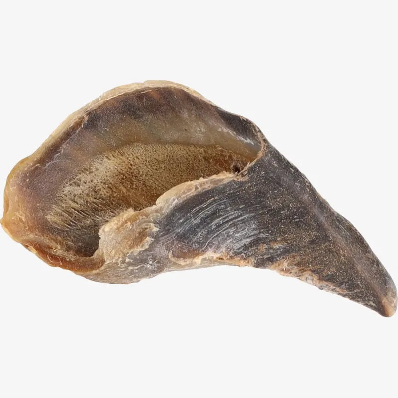 Lot de 10 Sabots de Vache Naturels pour Chiens