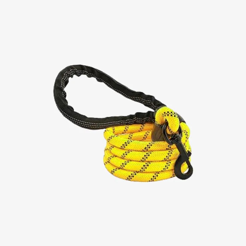 Laisse en corde jaune
