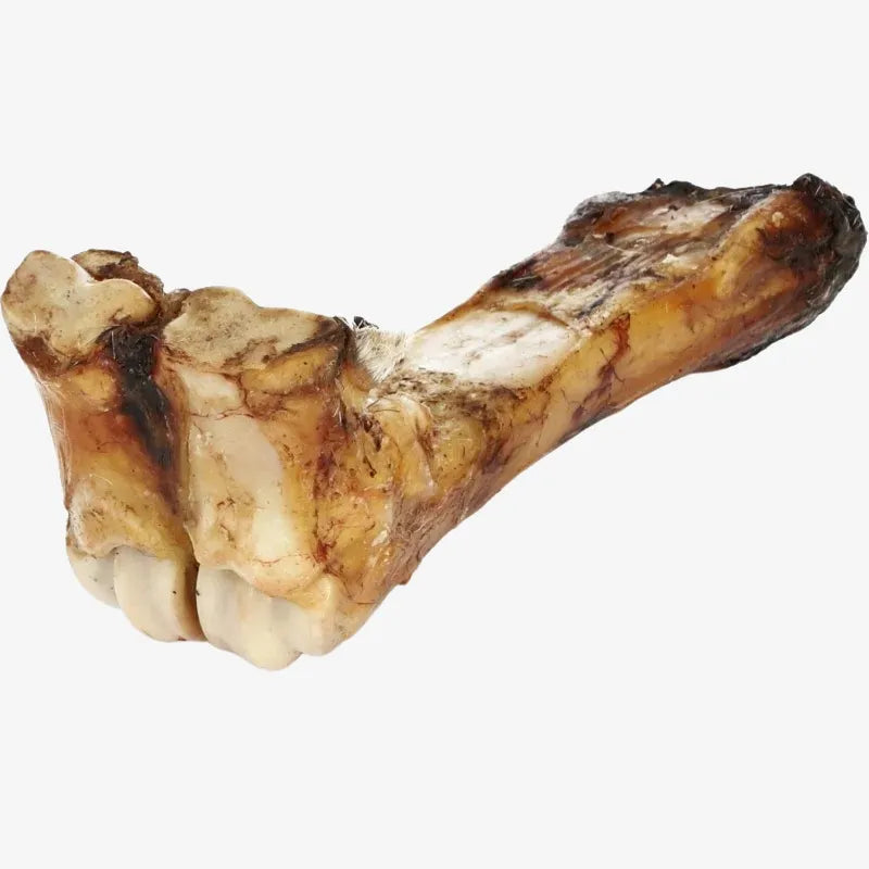 Lot de 10 Os de Bœuf Naturels pour Chiens