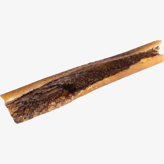 Lot de 10 Peaux de Tête de Sanglier Séchées pour Chiens
