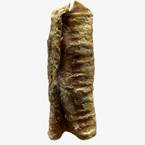 Lot de 10 Trachées de Bœuf Séchées pour Chiens