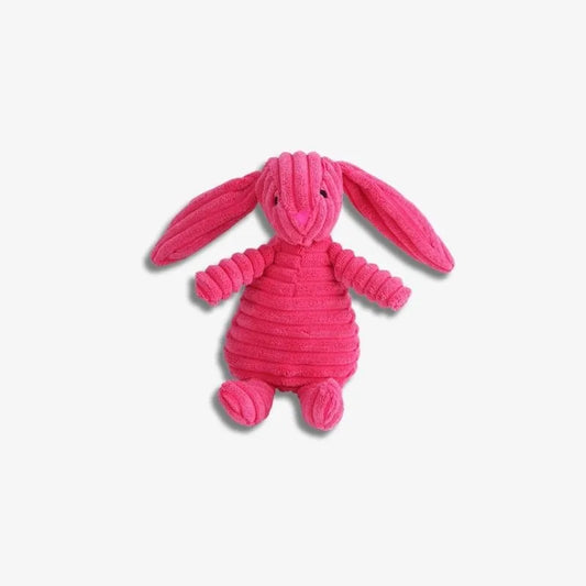BunnyBuddy