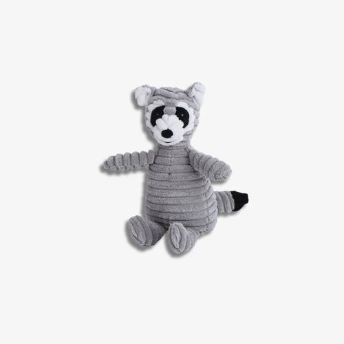 RockyRaccoon