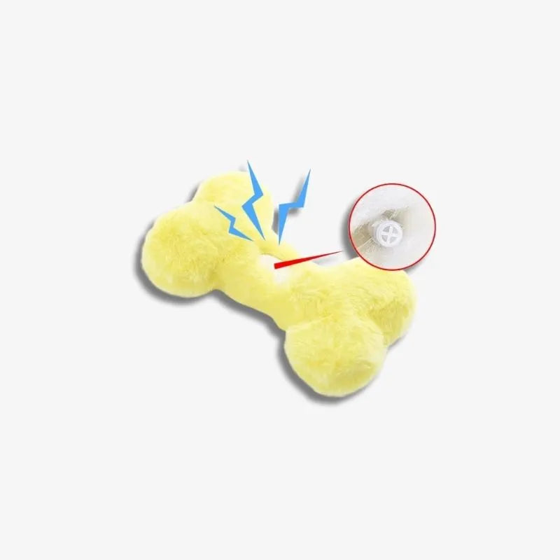 SunnyBone