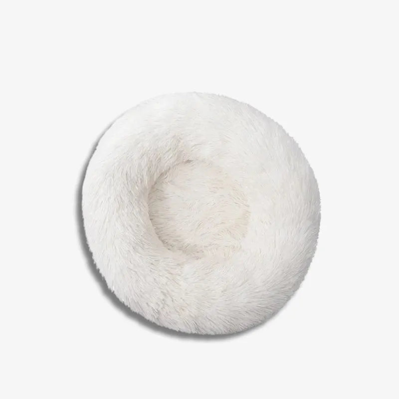 Snowy Nest