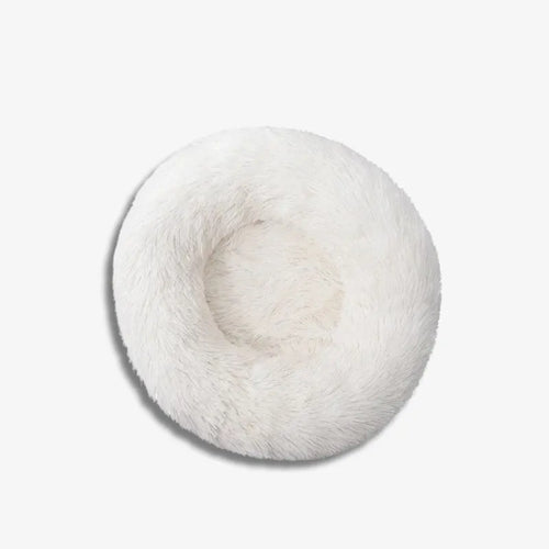 Snowy Nest