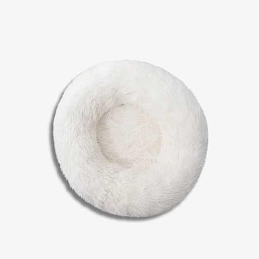 Snowy Nest