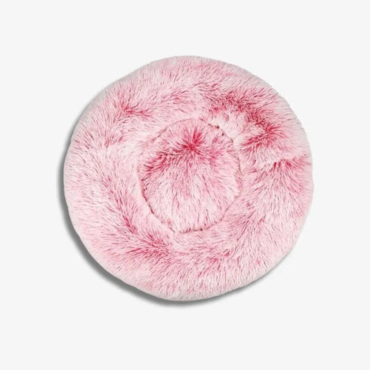 Cocon Rose