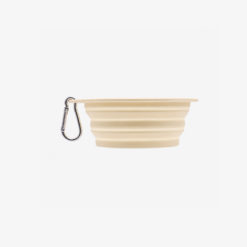 🥗 Gamelle Pliable de Voyage – Vert Menthe ou Jaune Soleil